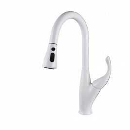 Robinet de cuisine VidaXL Fleury avec bec en chrome, montage mural et poignée simple, installé dans une cuisine moderne.