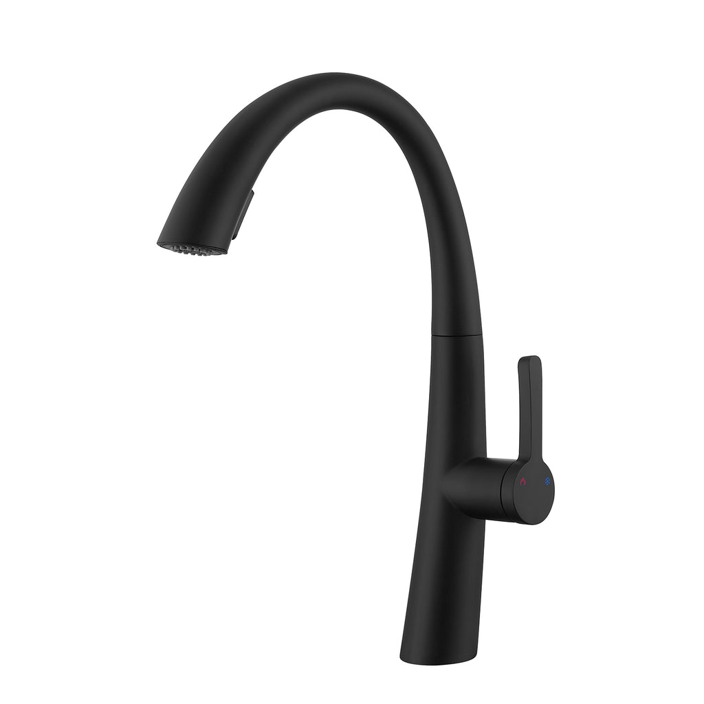 Stainless Steel Pull Out Kitchen Faucet - HAUSSLYON