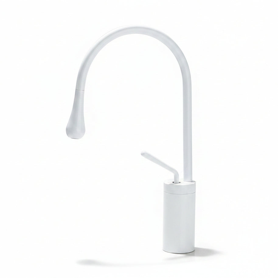 Robinet de salle de bain Hausslyon Malbaie en métal chromé avec manette unique pour lavabo.