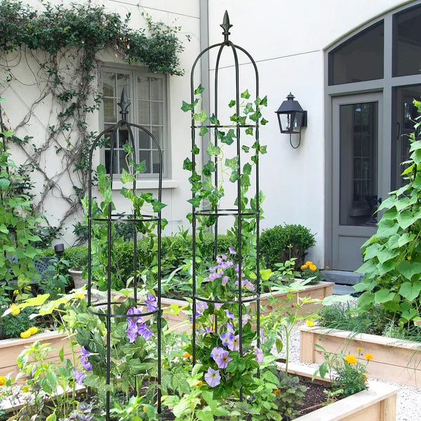 6.2ft Garden Obelisk Trellis Lightweight Rustproof Plastic Coated Metal Tall Tower Trellis Stand - HAUSSLYON