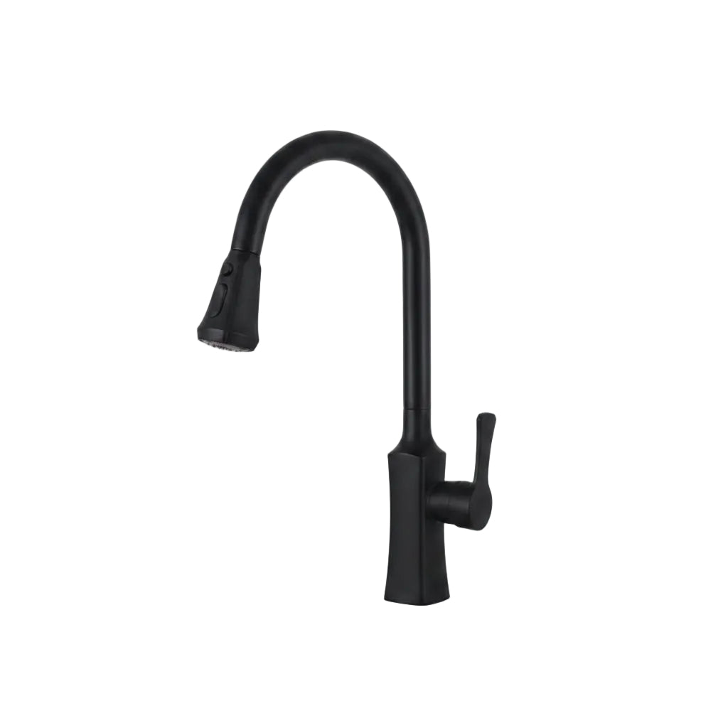 Robinet de cuisine RENFAN TATU CITY avec poignée chromée et bec tournant, installé dans une cuisine moderne.