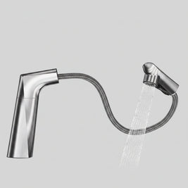 Washbasin Faucet Lifting Pull-out Type - HAUSSLYON