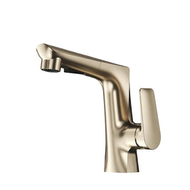 Washbasin Faucet Lifting Pull-out Type - HAUSSLYON