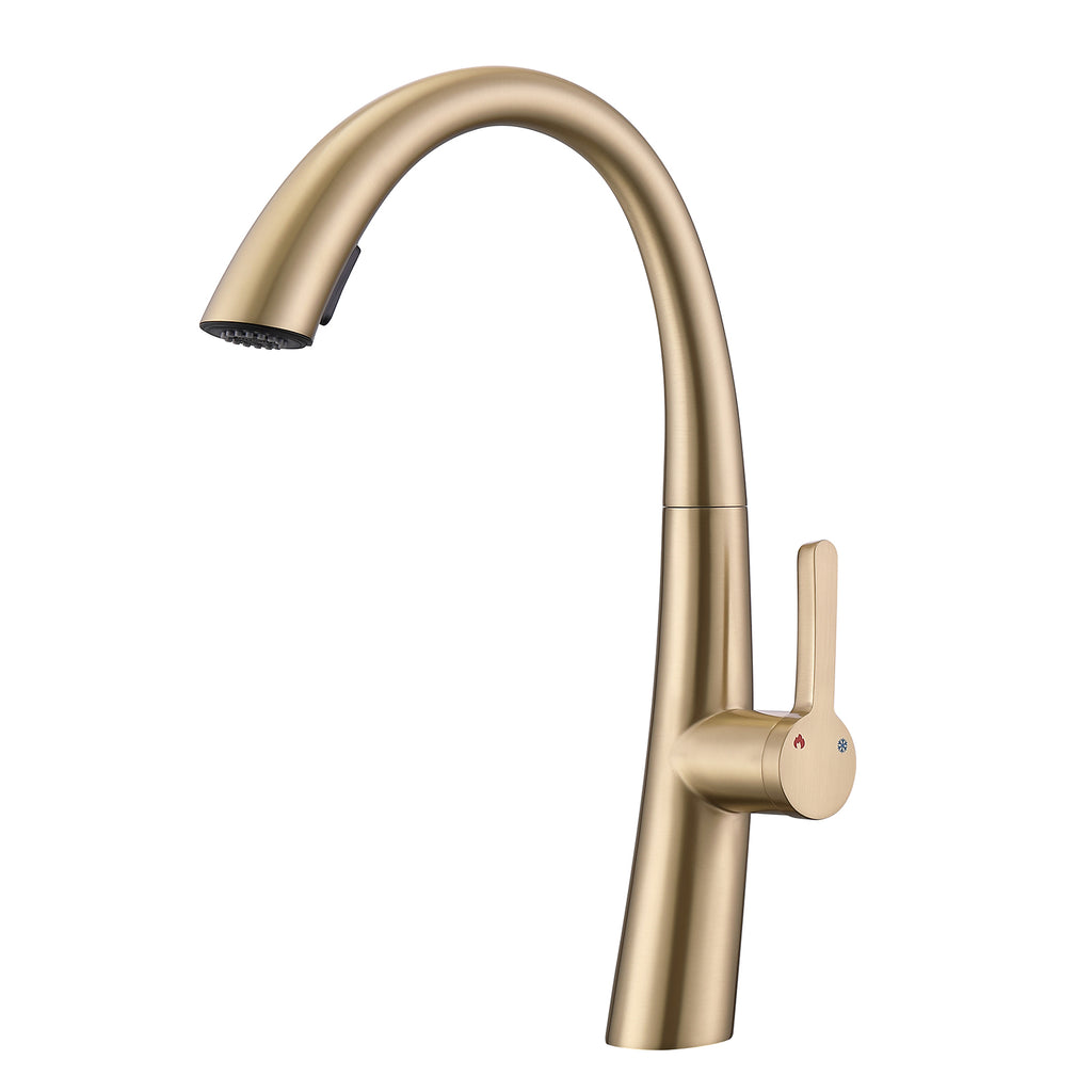 Single Handle Stainless Steel Pull Out Kitchen Faucet - HAUSSLYON