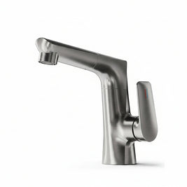Washbasin Faucet Lifting Pull-out Type - HAUSSLYON