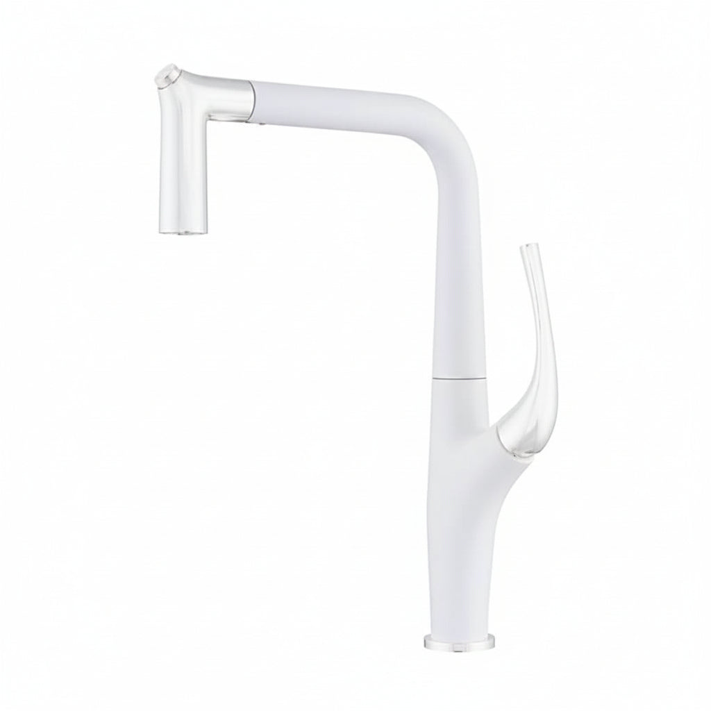 Robinet de cuisine Long Fleury de la marque Renfan, montrant le design élégant et la finition en acier inoxydable.