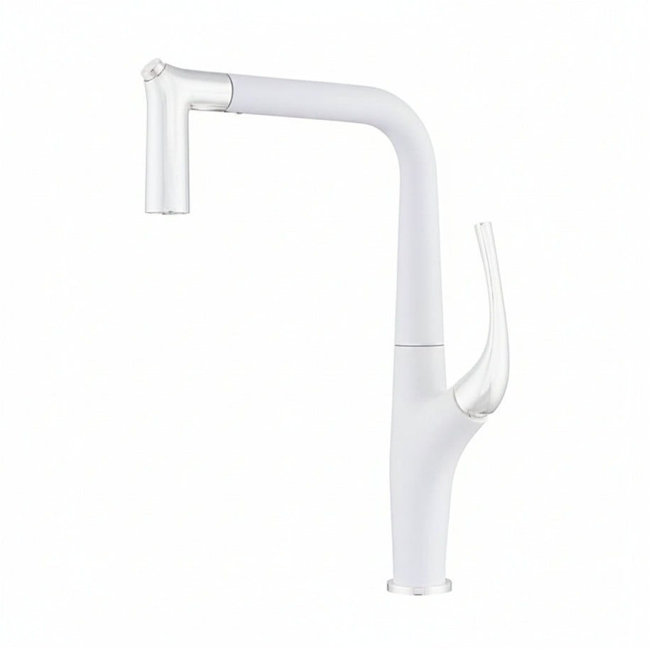 Robinet de cuisine Long Fleyury de la marque HAUSSLYON, en inox avec poignée élégante et finition brillante.