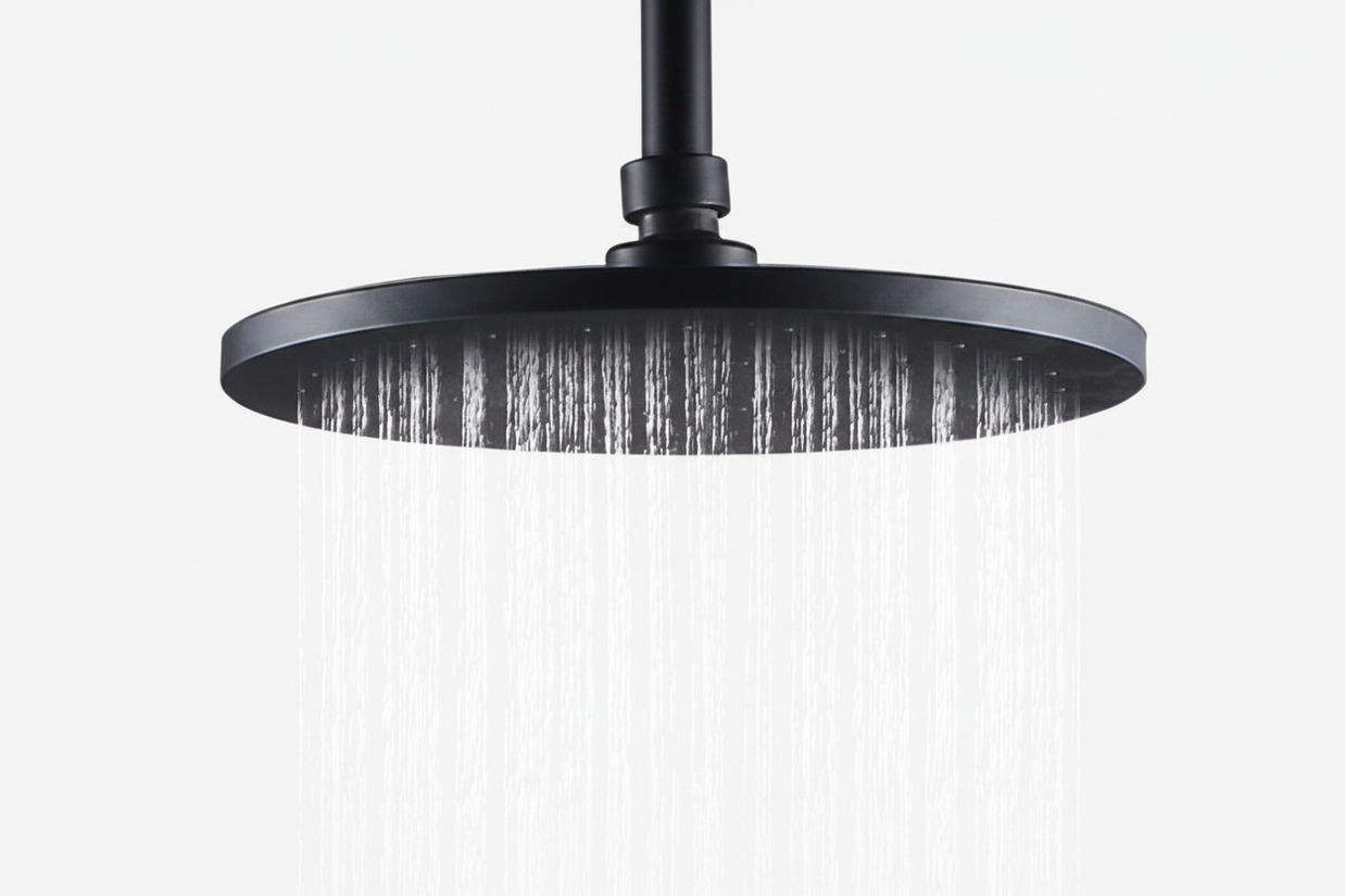 Robinet de douche VidaXL Lanoraie en acier chromé avec poignée et sortie de douche, installation murale.