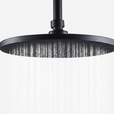 Robinet de douche VidaXL Lanoraie en acier chromé avec poignée et sortie de douche, installation murale.