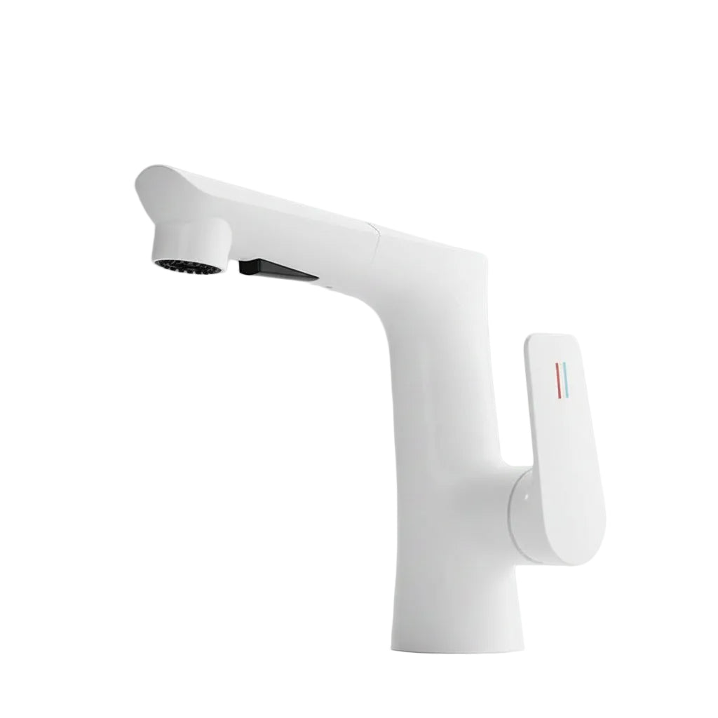 Washbasin Faucet Lifting Pull-out Type - HAUSSLYON