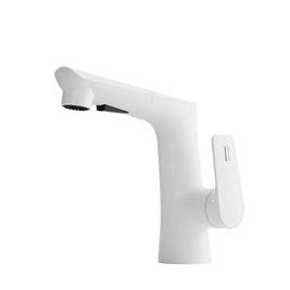 Washbasin Faucet Lifting Pull-out Type - HAUSSLYON