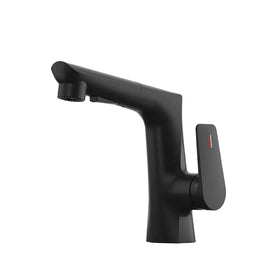 Washbasin Faucet Lifting Pull-out Type - HAUSSLYON