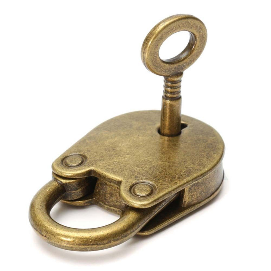 Cadenas VidaXL Verona en métal robuste avec serrure, utilisé pour sécuriser portes ou clôtures.