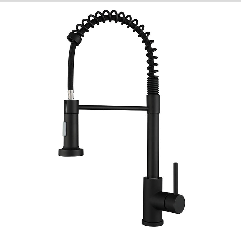Stainless Steel Spring Pull Telescoping Kitchen Faucet - HAUSSLYON
