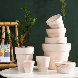 Gradient Macchiato Red And White Pottery Natural Pot Vegetarian Burning Breathable And Absorbent Large Type Green Plants Meaty - HAUSSLYON