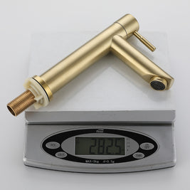 Stainless Steel Brushed Gold Ingle Handle Faucet With Cold Basin - HAUSSLYON