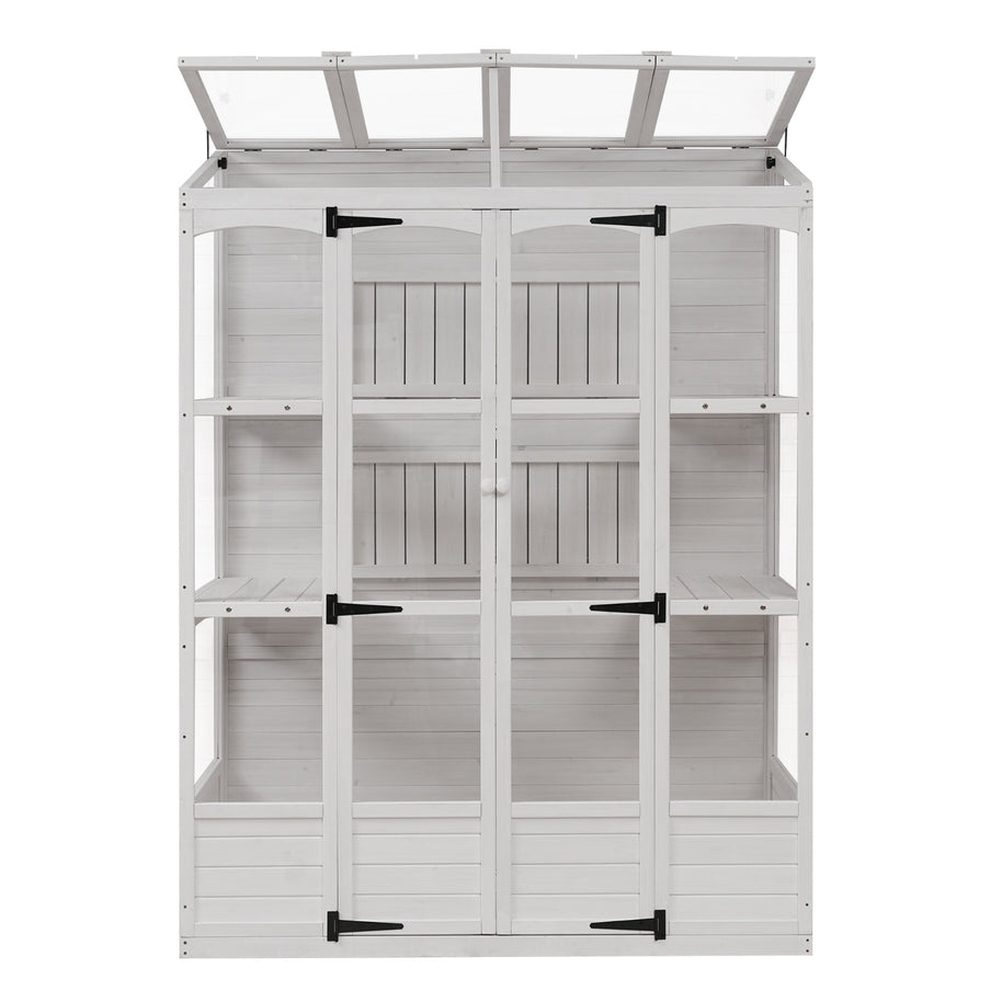 Serre Florence en verre blanc pour jardinage, structure en métal pour cultiver des plantes en extérieur.